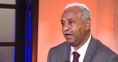 وزير الثقافة والإعلام السودانى الناطق باسم الحكومة فيصل محمد صالح