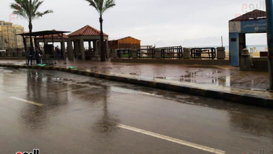 أمطار خفيفة وانخفاض درجات الحرارة فى الإسكندرية (5)