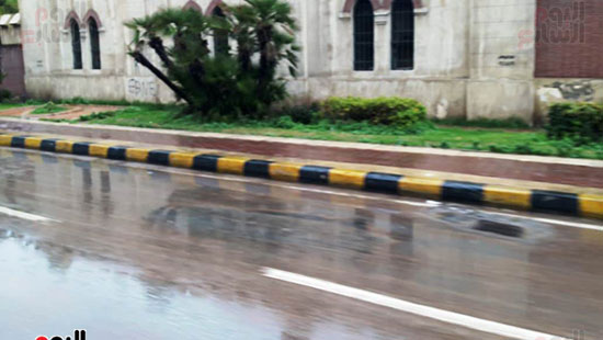 أمطار خفيفة وانخفاض درجات الحرارة فى الإسكندرية (11)
