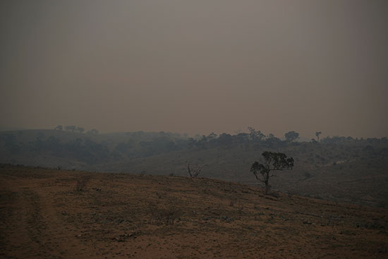 الحرائق مستمرة فى غابات استراليا