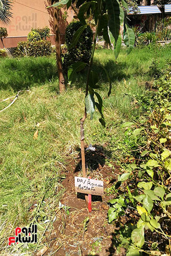 مبادرة جو جرين لنشر التوعية بزراعة الأشجار (27)
