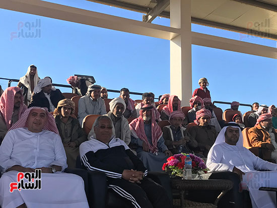 اصحاب-الهجن-المشاركة اصحاب-الهجن-المشاركة