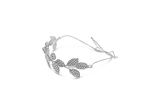 A crown of silver and crystal