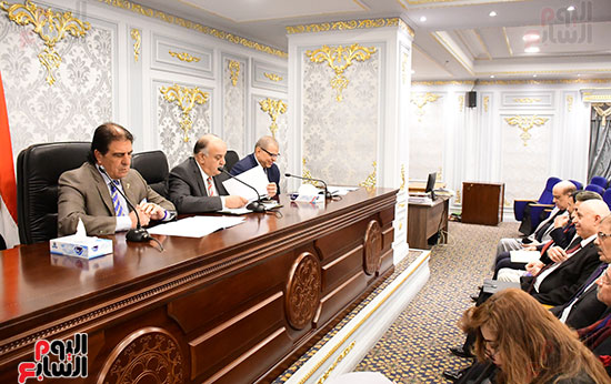لجنة الشؤون العربية بالنواب (3)