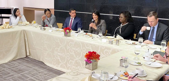 الدكتورة رانيا المشاط وزيرة التعاون الدولى تلتقى المديرين التنفيذيين للبنك الدولى  (1)