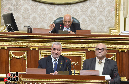 جلسة مجلس النواب برئاسة الدكتور على عبد العال (17)