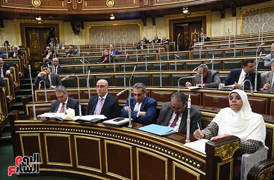 جلسة مجلس النواب برئاسة الدكتور على عبد العال (25)