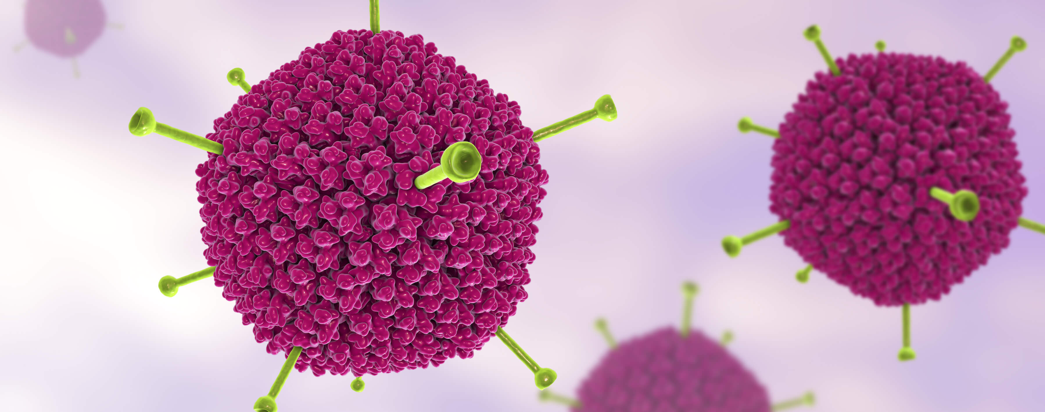 Humaner-Adenovirus