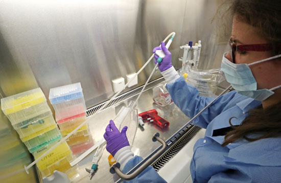 علماء بجامعة لوفين البلجيكية يجرون أبحاثا للتوصل لعلاج لفيروس كورونا