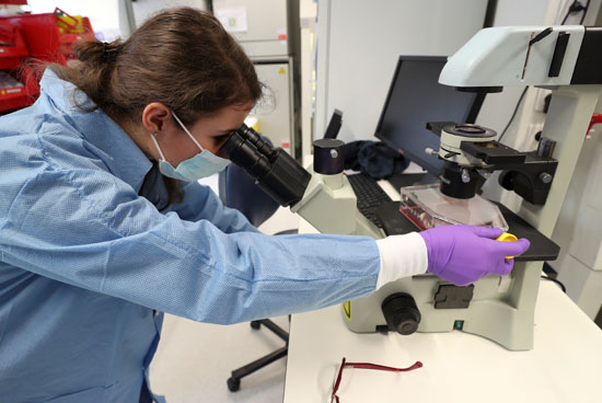 علماء بجامعة بلجيكية يحاولون التوصل لعلاج لفيروس كورونا