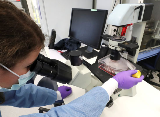 جامعة بلجيكية تجرى أبحاثا عن علاج لفيروس كورونا