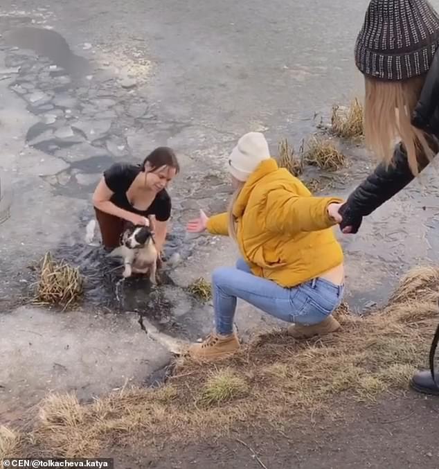 روسية تنقذ كلبها