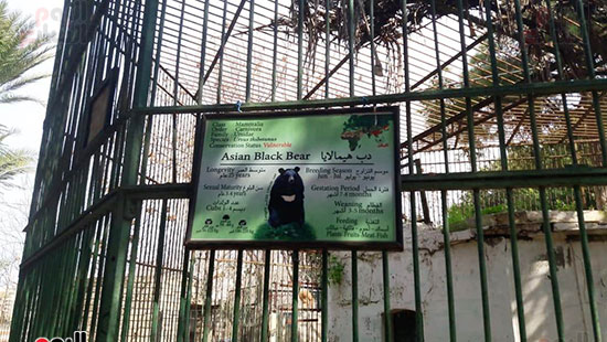 حماية الحيوانات من برد الشتاء بحديقة حيوان الإسكندرية (9)