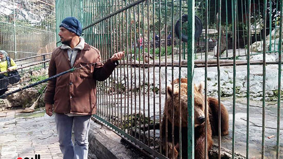 حماية الحيوانات من برد الشتاء بحديقة حيوان الإسكندرية (3)