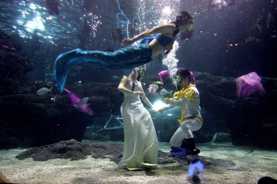 تصوير زفاف تحت المياه بواسطة حورية بحر