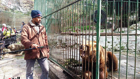 حماية الحيوانات من برد الشتاء بحديقة حيوان الإسكندرية (6)