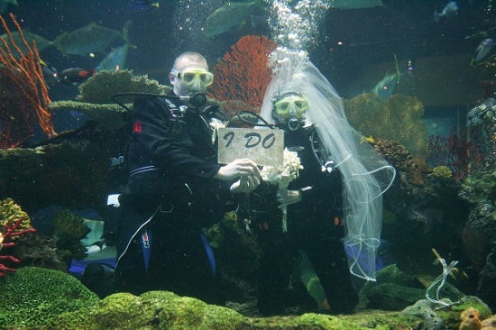 زواج تحت الماء في لاس فيجاس