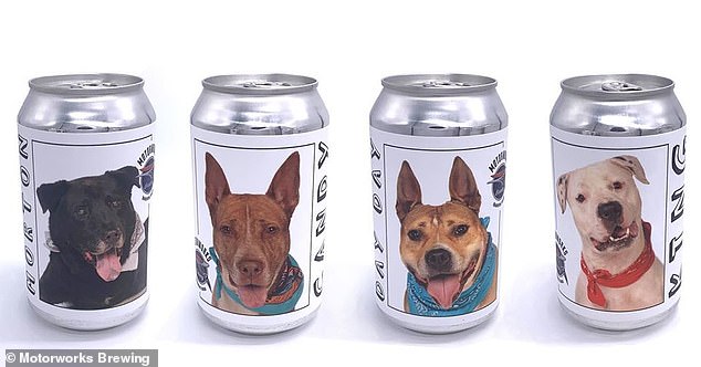 صورة الكلب على علب البيرة 