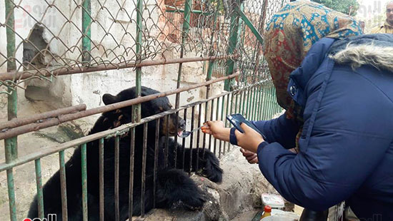 حديقة حيوان الإسكندرية (4)