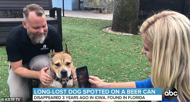امرأة تعثر على كلبها بعد طبع صورته على علب البيرة .. صور  (2)