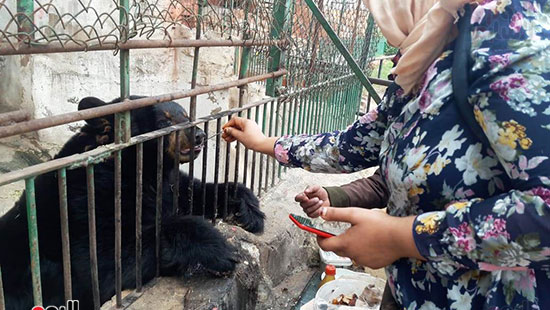 حديقة حيوان الإسكندرية (3)