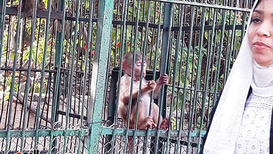 حديقة حيوان الإسكندرية (25)