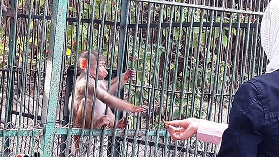 حديقة حيوان الإسكندرية (21)