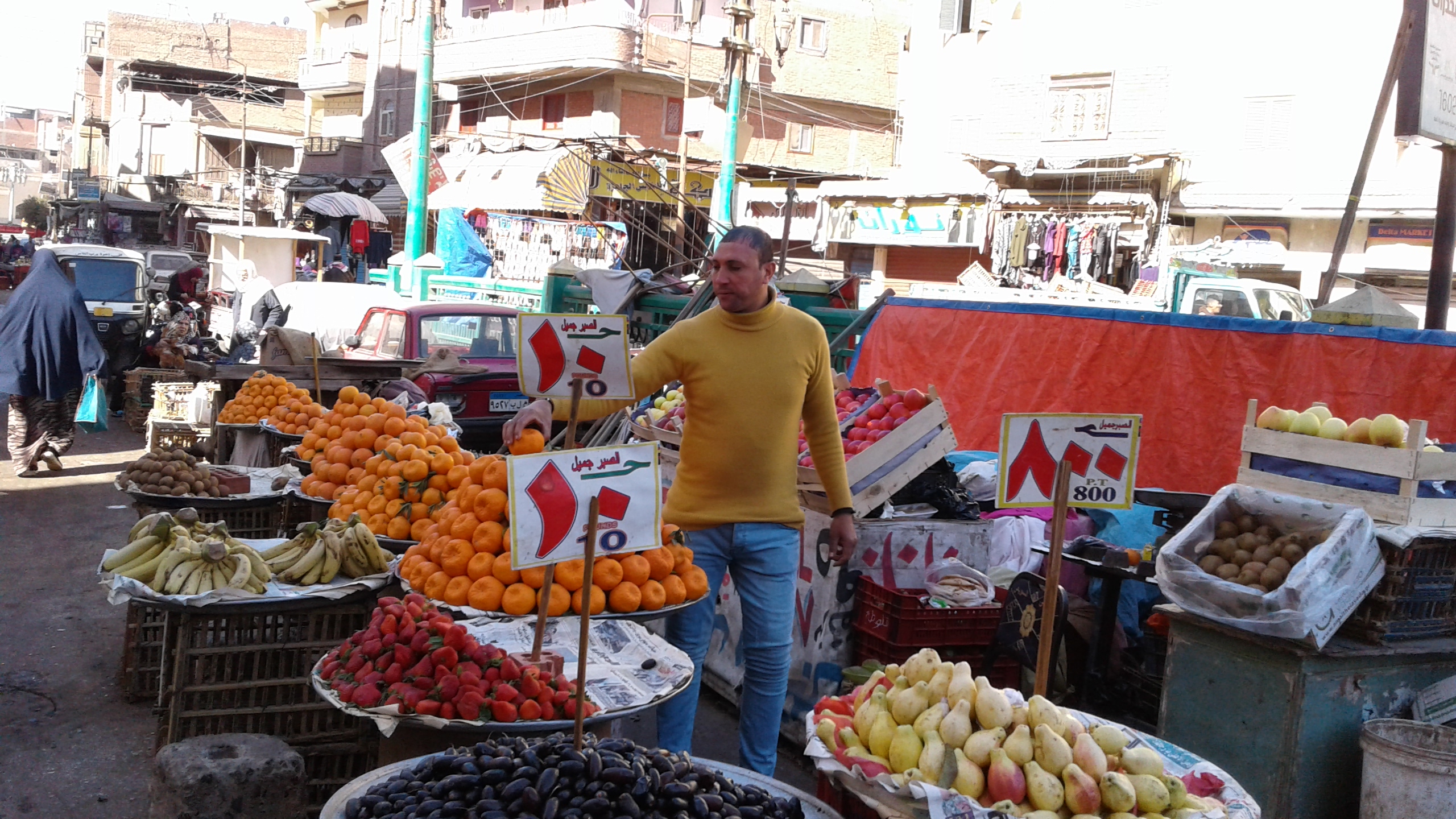 أسواق الخضر والفاكهة بمحافظة المنوفية (4)
