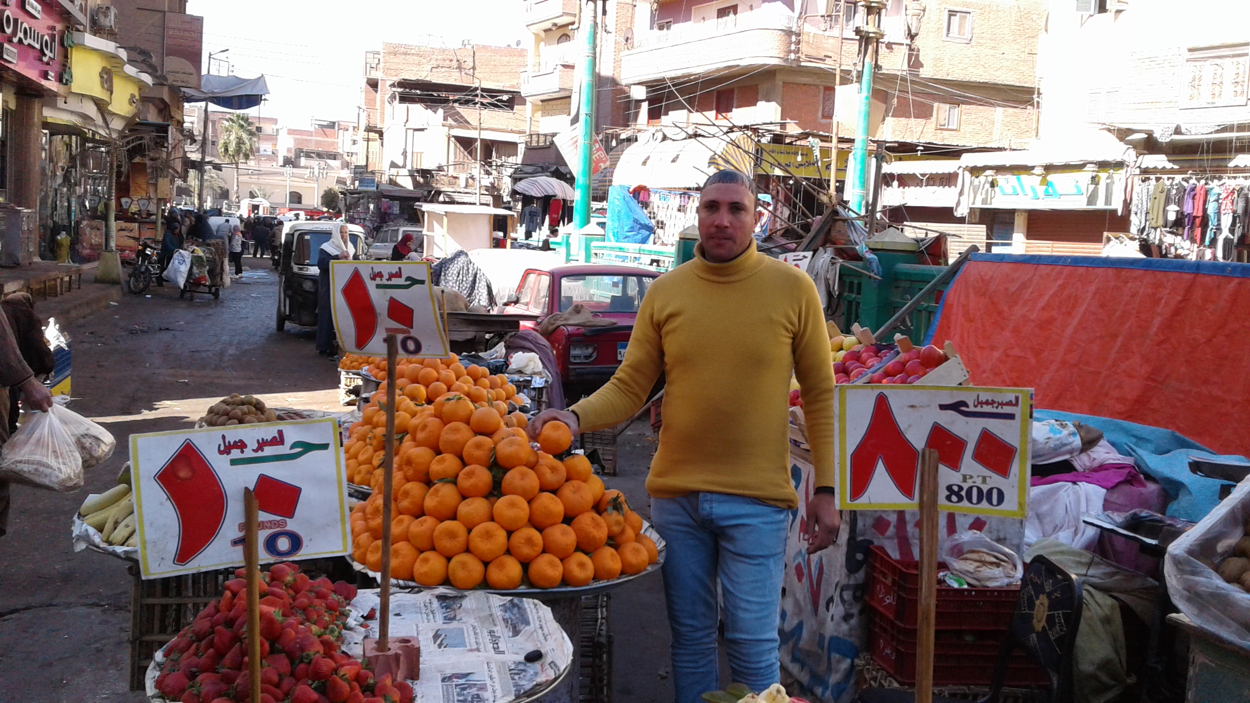 أسواق الخضر والفاكهة بمحافظة المنوفية (2)