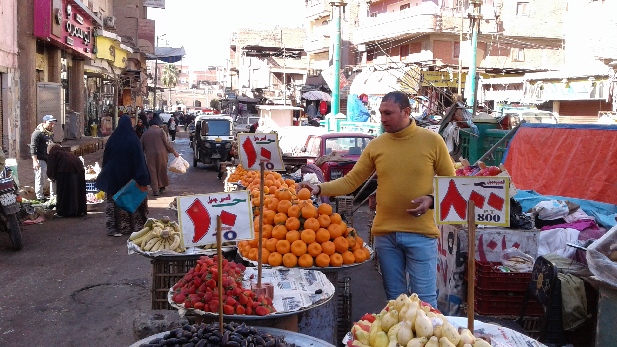 أسواق الخضر والفاكهة بمحافظة المنوفية (3)