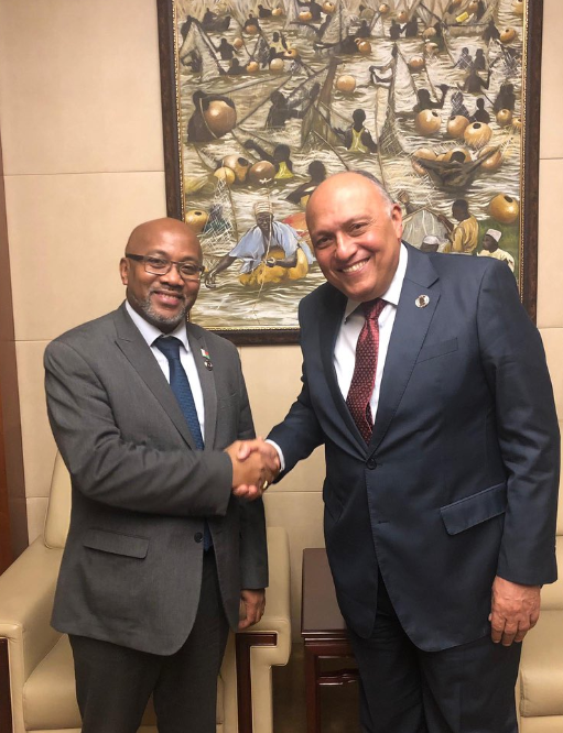 سامح شكرى ووزير خارجية مدغشقر