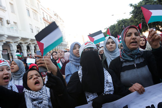 العلم الفلسطينى يرفعه المحتجين