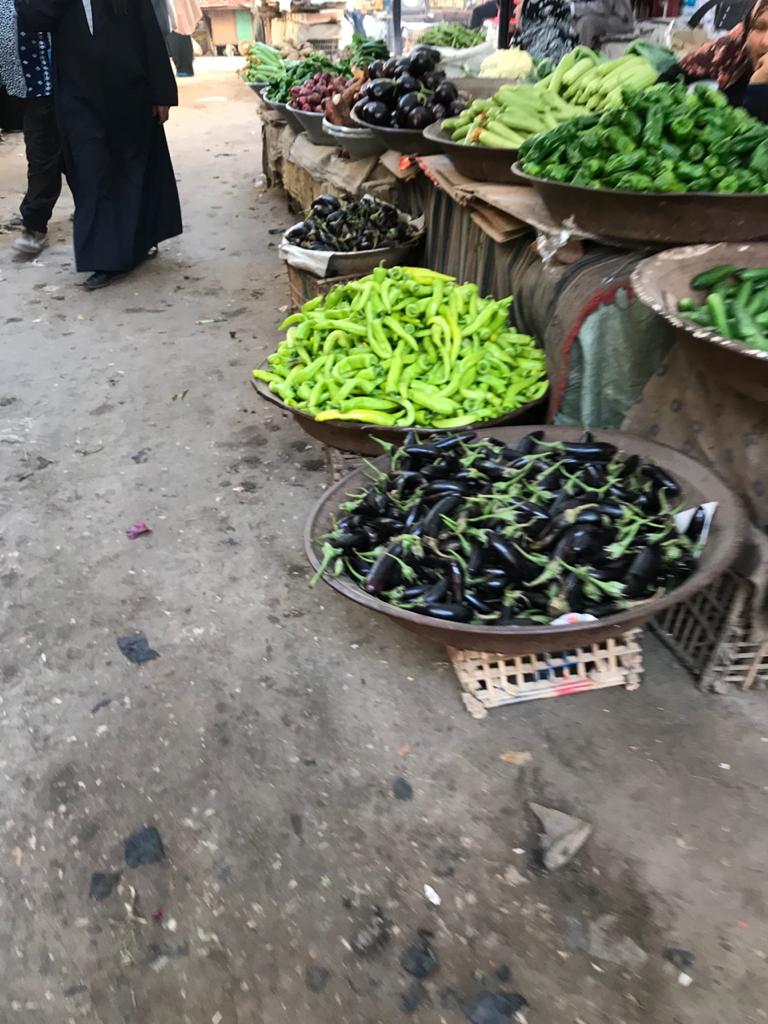 أسواق الخضر والفاكهة بالغربية (10)