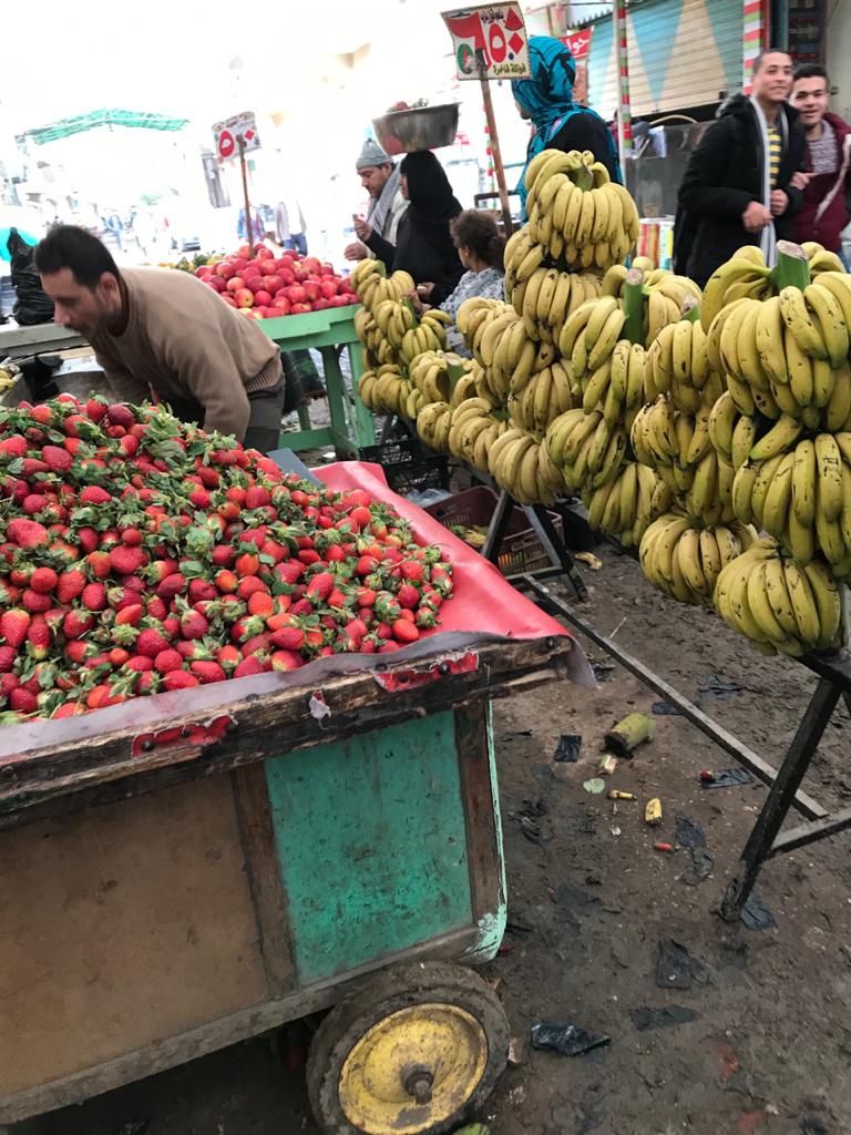 أسواق الخضر والفاكهة بالغربية (7)