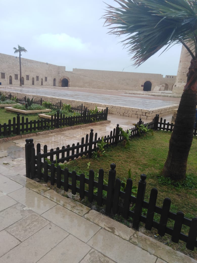  احياء الاسكندرية تكثف اعمال نزح مياه الامطار (2)