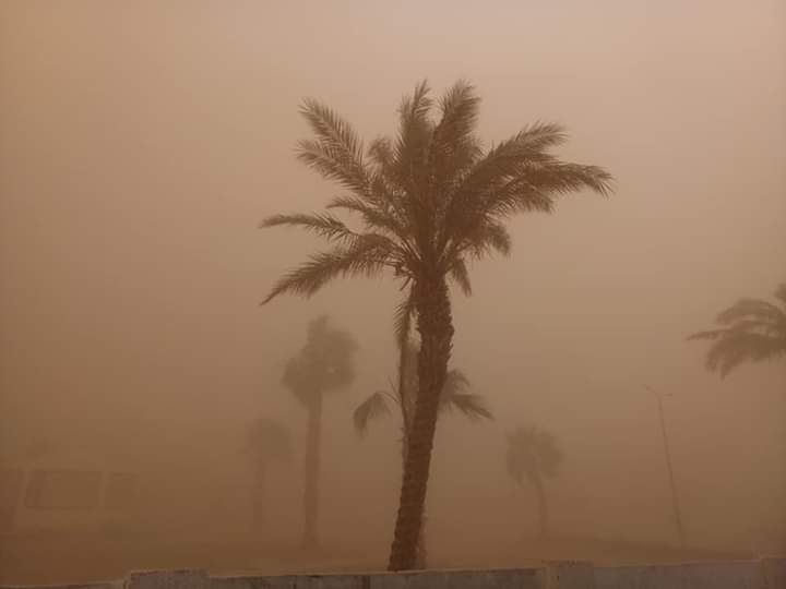 عواصف ترابية تغطى مدينة طور سيناء (2)
