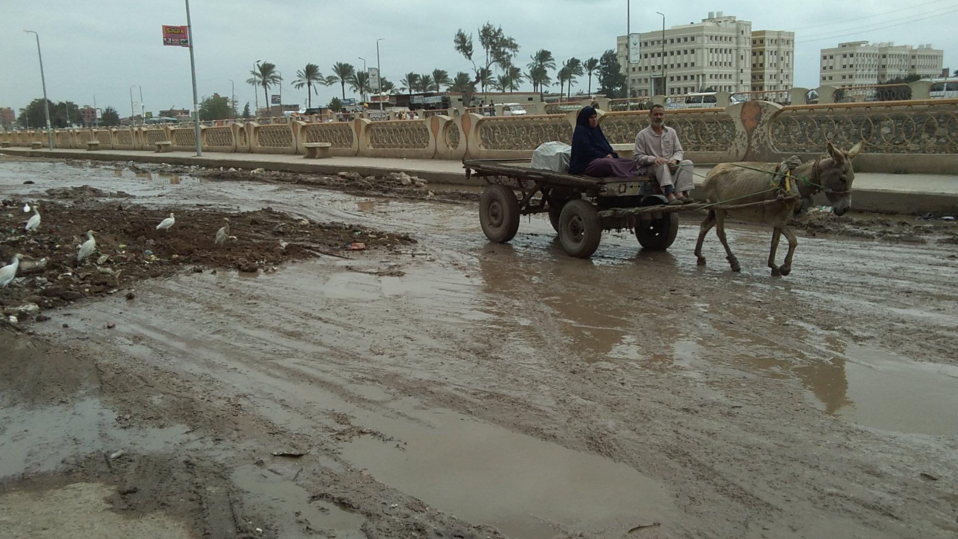 هطول أمطار غزيرة ومتوسطة على مدن كفر الشيخ وتوقف حركة الصيد (2)