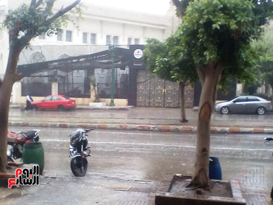 أمطار غزيرة تملأ شوارع محافظة المنيا (1)