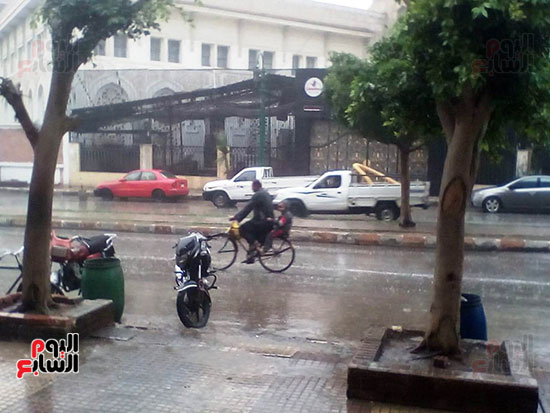 أمطار غزيرة تملأ شوارع محافظة المنيا (2)