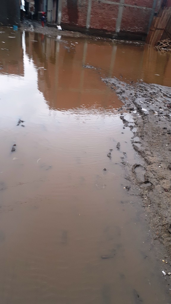 مياه الأمطار تحاصر قرية شطانوف بالمنوفية (12)