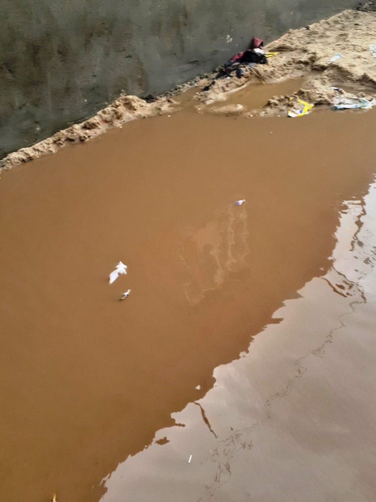 مياه الأمطار تحاصر قرية شطانوف بالمنوفية (16)
