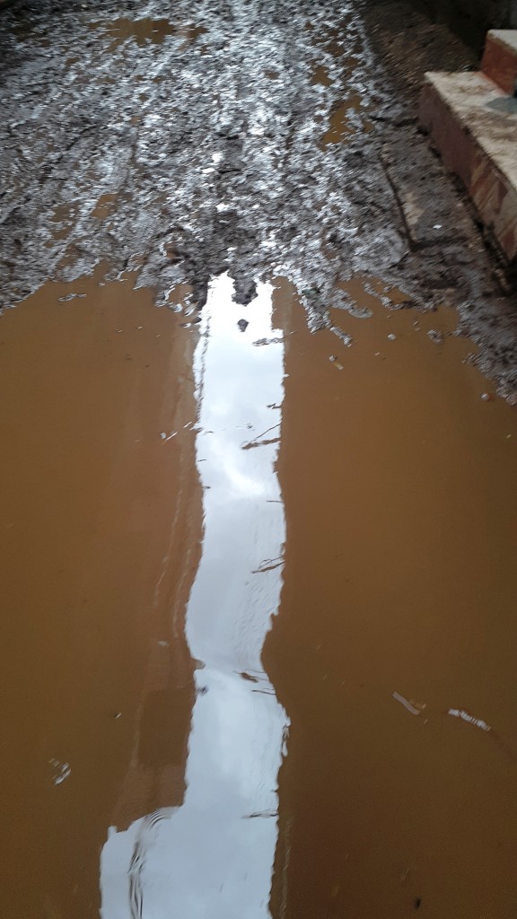 مياه الأمطار تحاصر قرية شطانوف بالمنوفية (4)