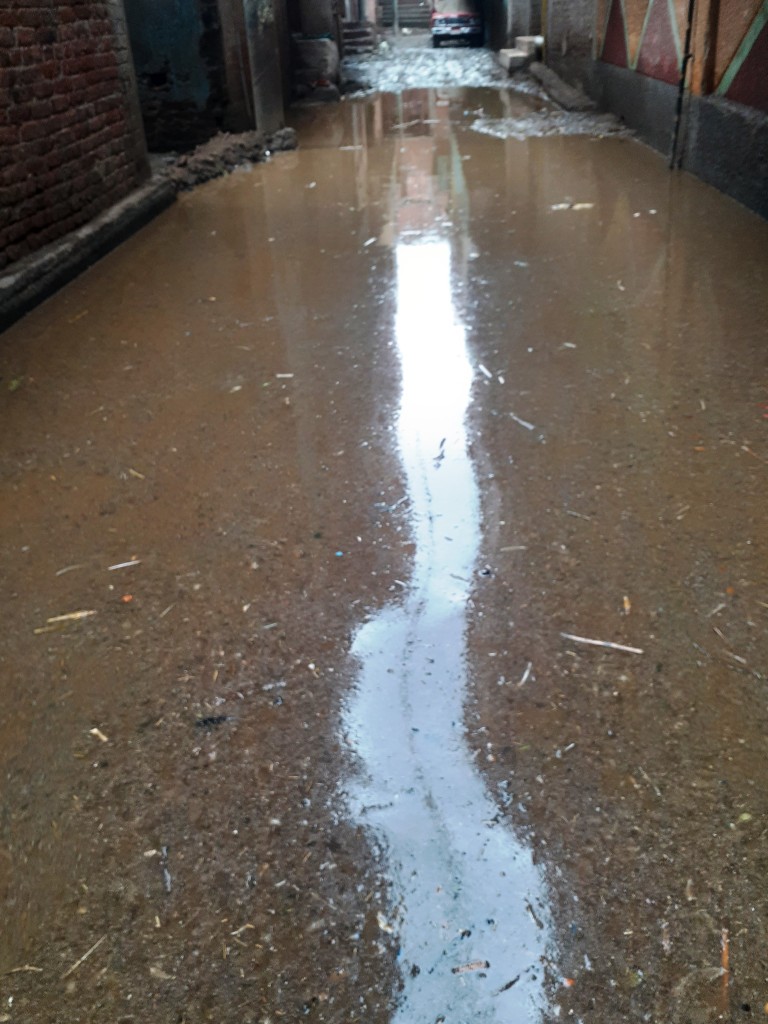 مياه الأمطار تحاصر قرية شطانوف بالمنوفية (3)
