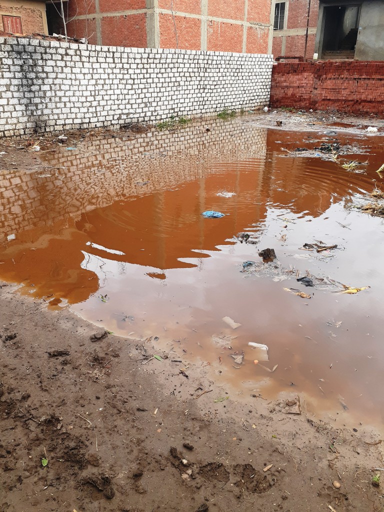 مياه الأمطار تحاصر قرية شطانوف بالمنوفية (6)