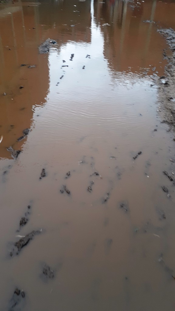 مياه الأمطار تحاصر قرية شطانوف بالمنوفية (10)