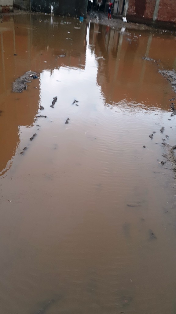 مياه الأمطار تحاصر قرية شطانوف بالمنوفية (13)