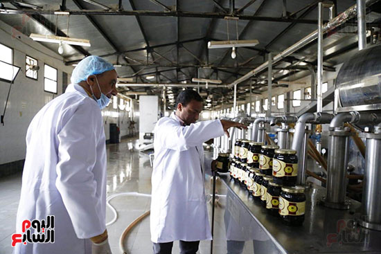 أكبر خط إنتاج مميكن لإنتاج عسل البلح النقى (9)
