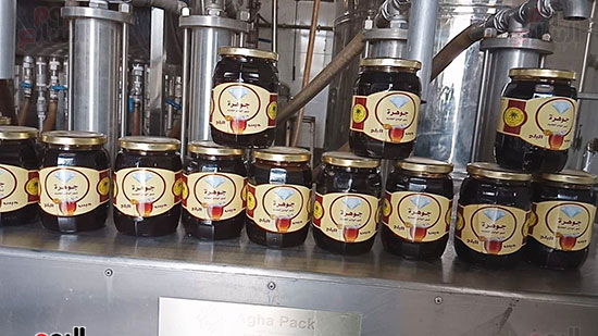 أكبر خط إنتاج مميكن لإنتاج عسل البلح النقى (3)