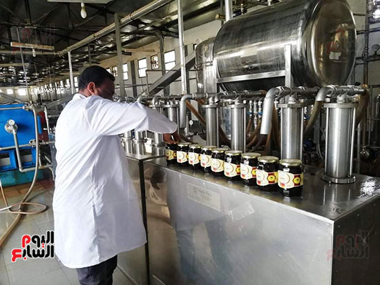 أكبر خط إنتاج مميكن لإنتاج عسل البلح النقى (10)