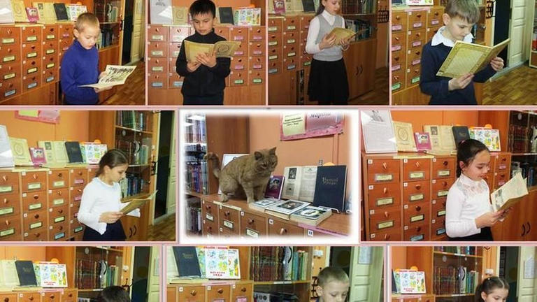 الاطفال يتوافدون على المكتبة من اجل القط